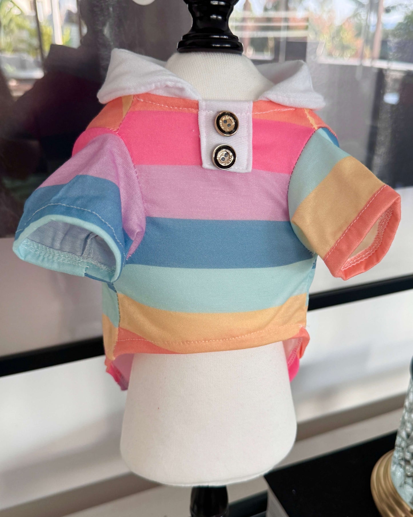 Theodore Rainbow Polo Shirt