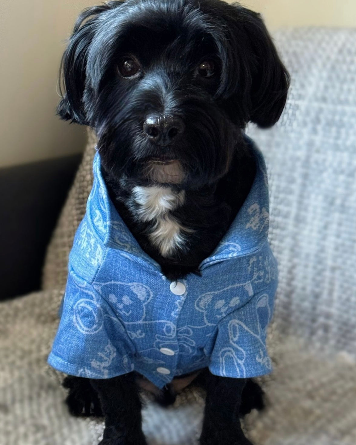 Levi Bear Denim Print Shirt