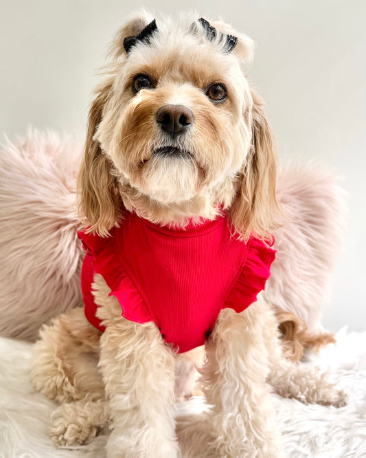 Arabella Frilly Sleeve Top Red