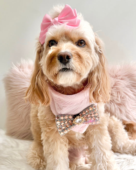 Addison Deluxe Bandana Pink