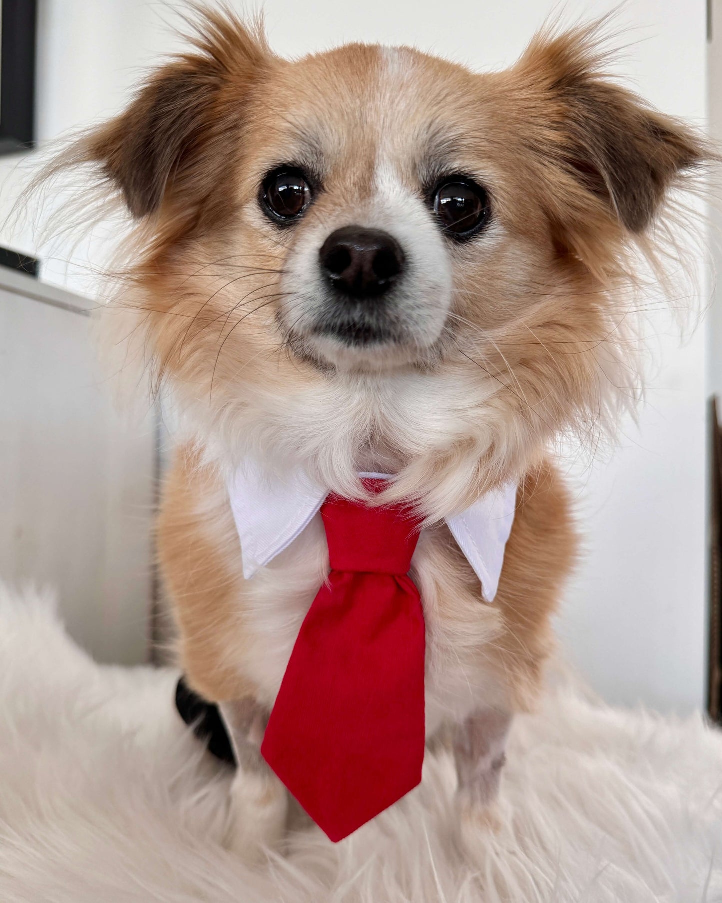 Red Necktie