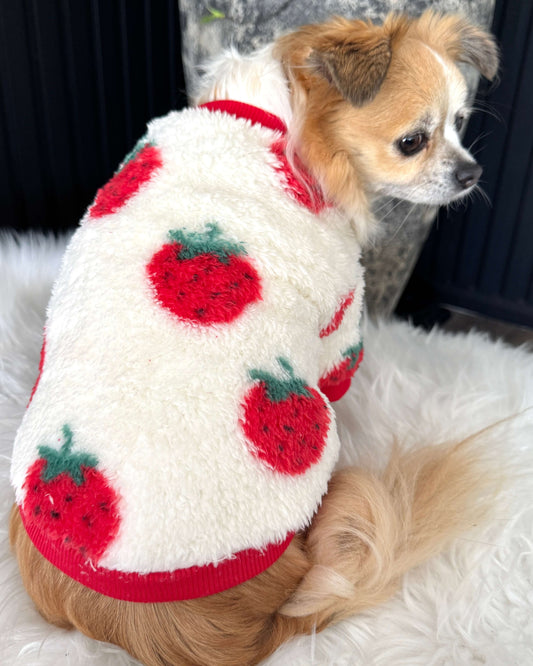 Strawberry Teddy Jumper