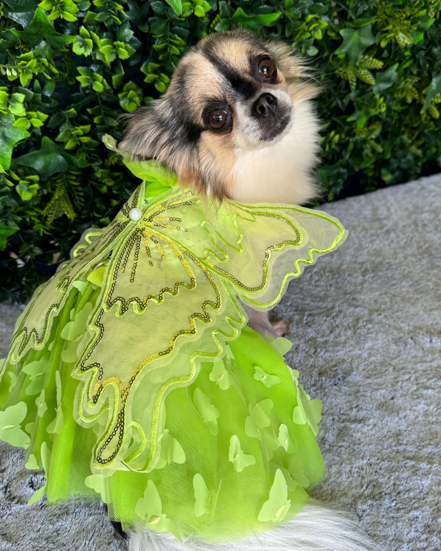 Tinkerbell Tutu
