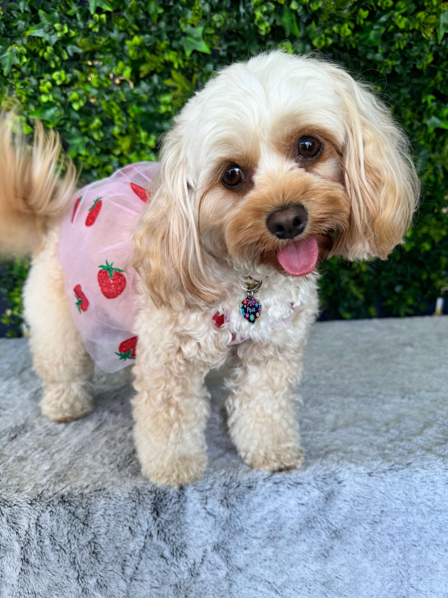 Strawberry Delight Dress