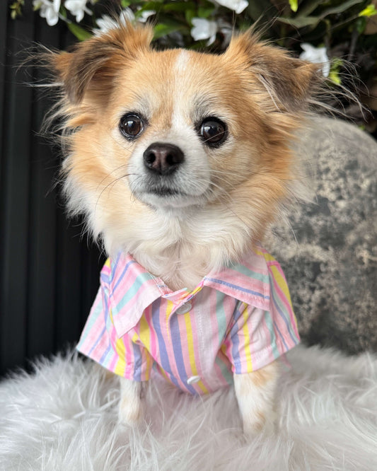 Pastel Riviera Shirt