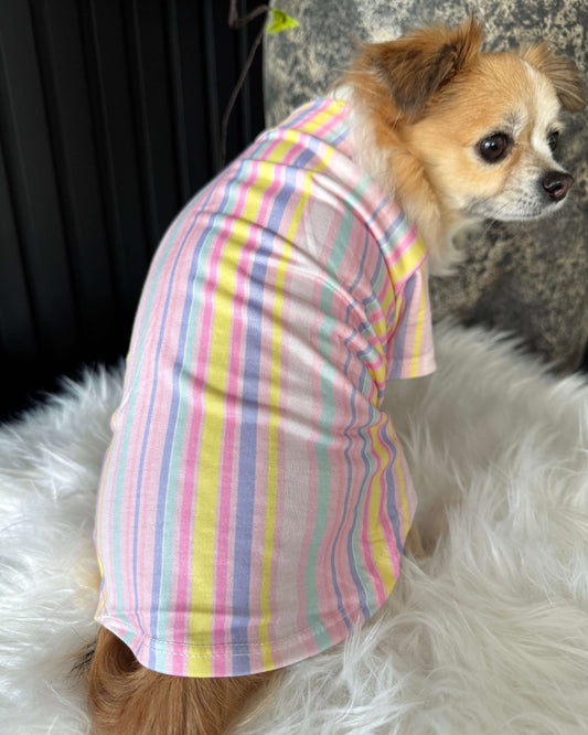 Pastel Riviera Shirt