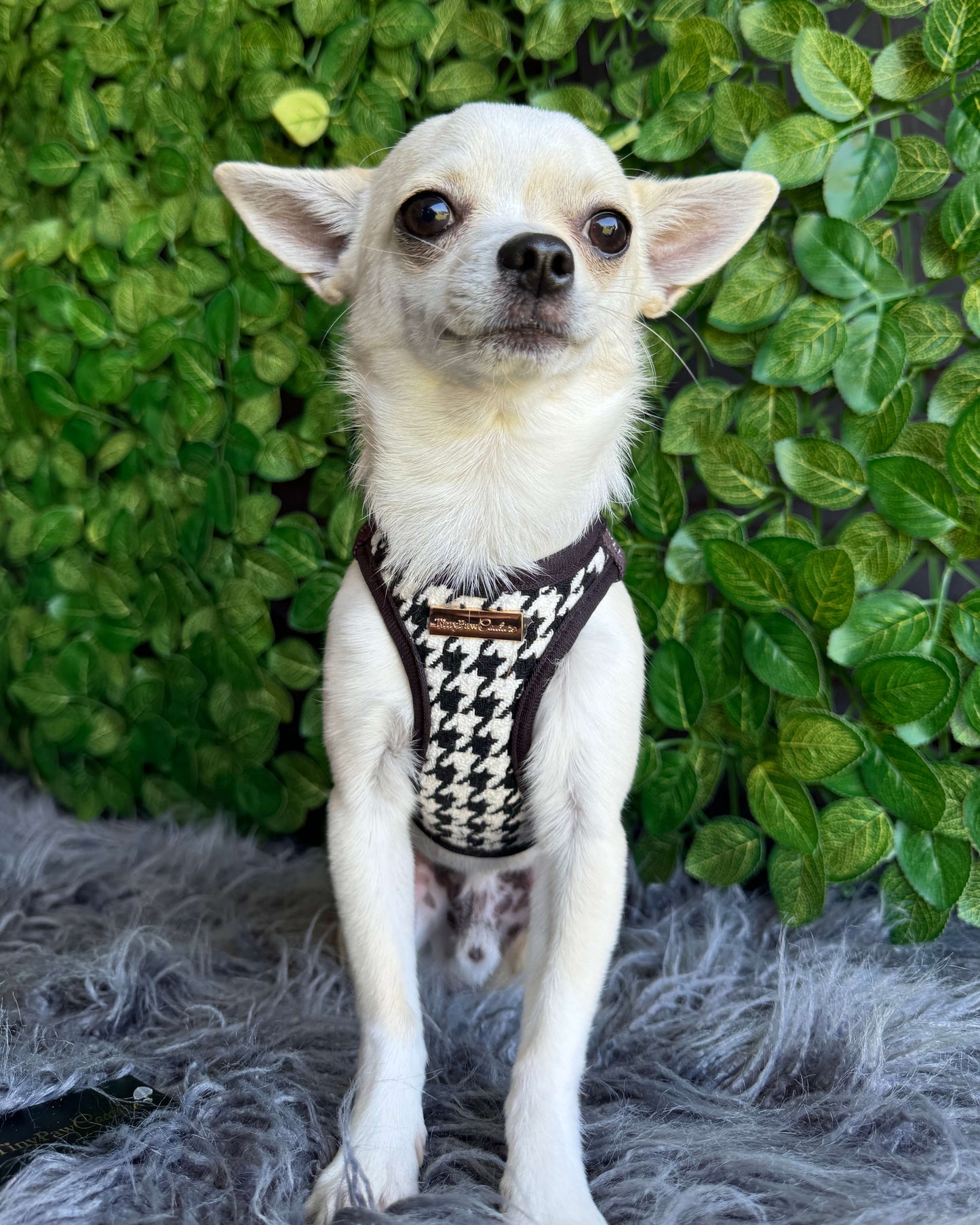 Little Luxe Houndstooth Harness