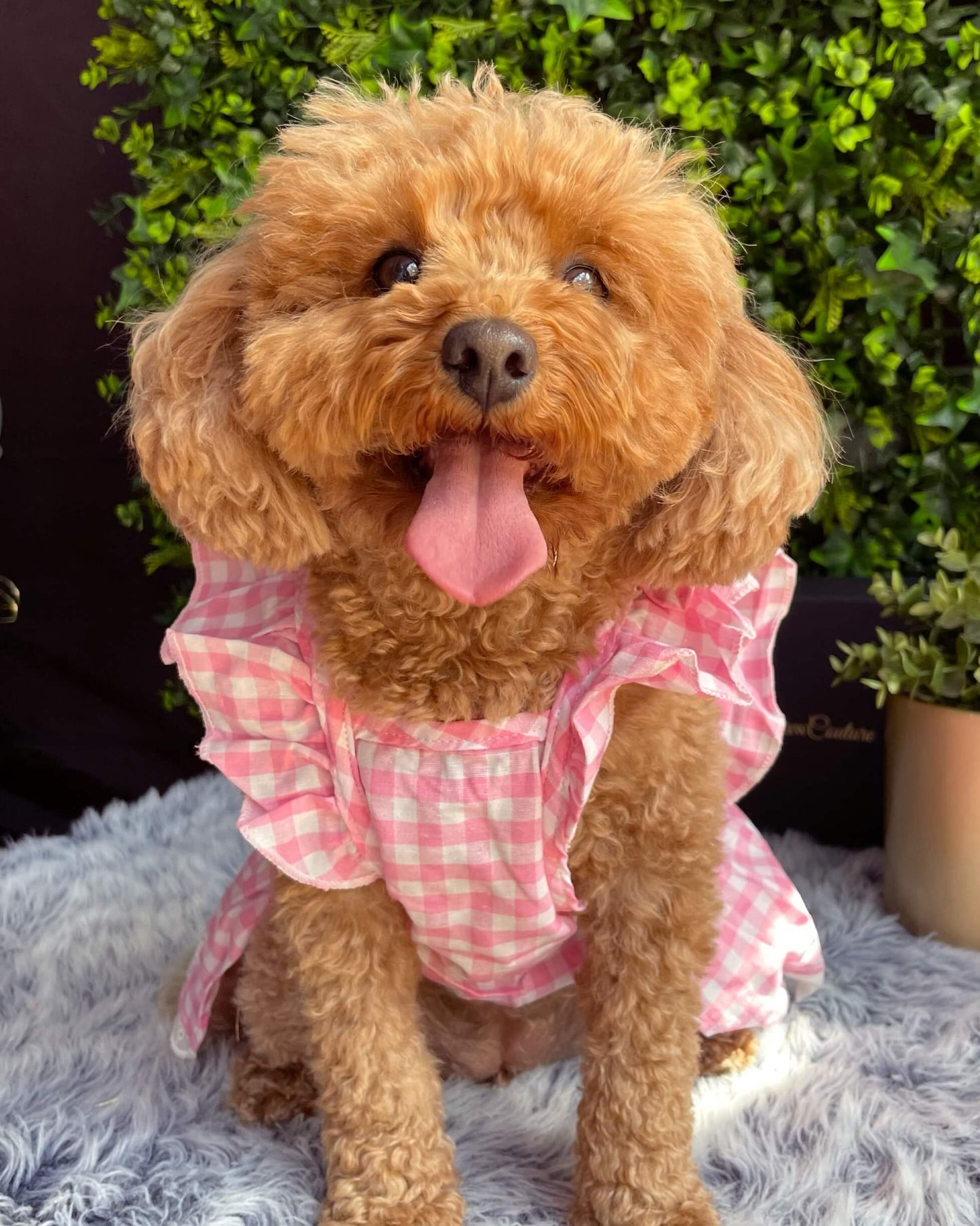 Bethany Pink Gingham Dress