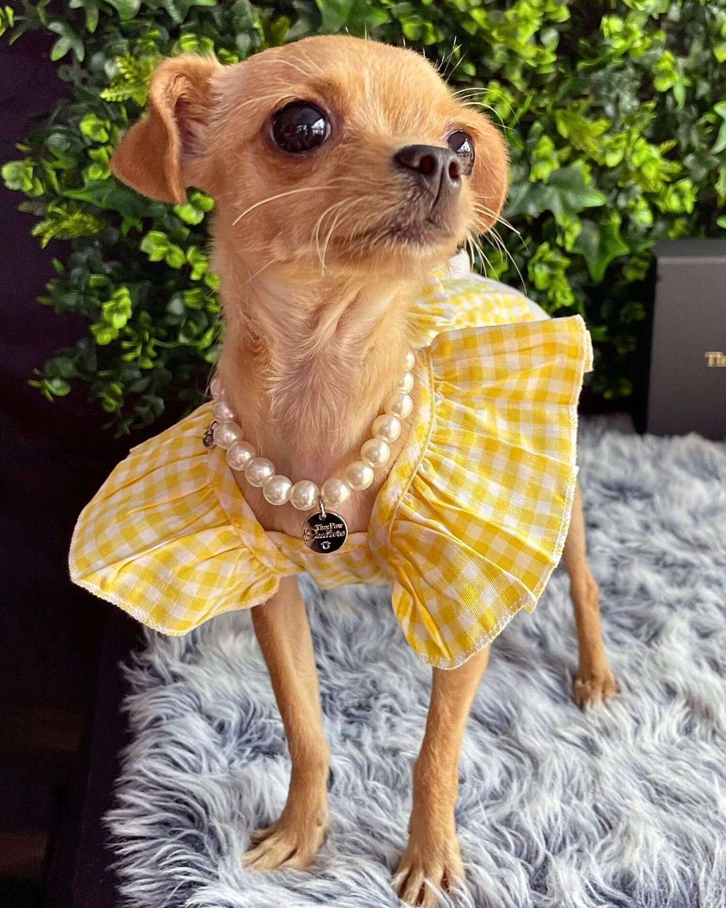 Bethany Yellow Gingham Dress