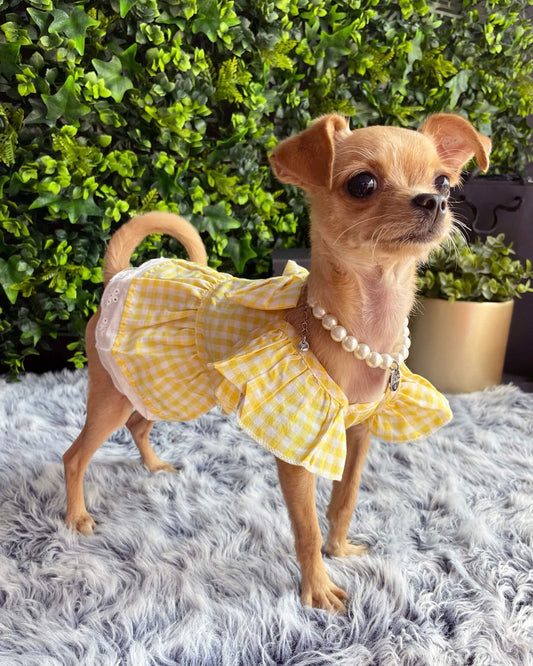 Bethany Yellow Gingham Dress