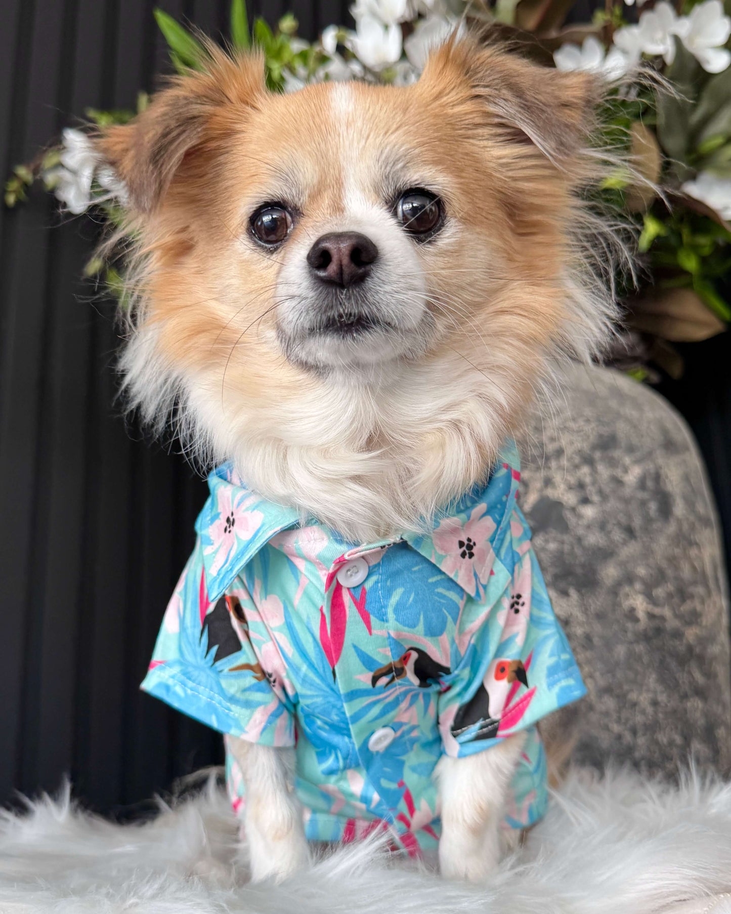 Tropical Toucan Paradise Shirt