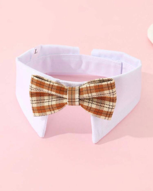 Gentleman Bowtie