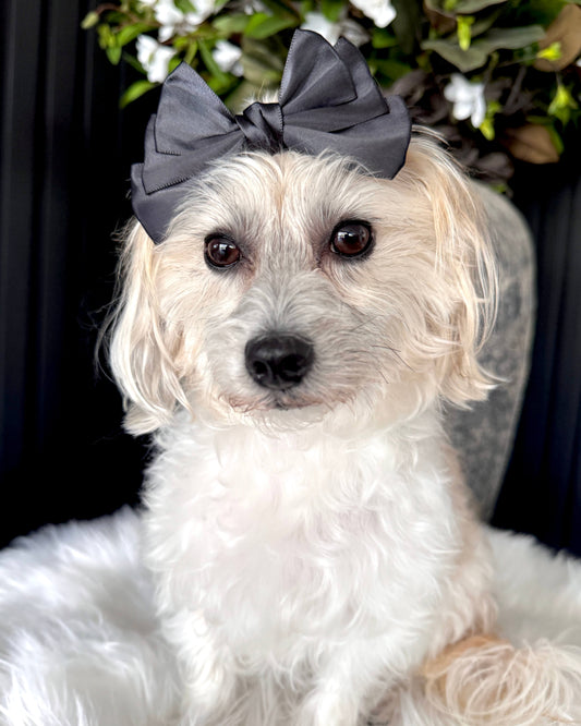Midnight Grace Hair Bow