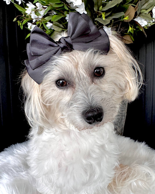 Midnight Grace Hair Bow