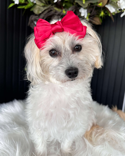 Scarlet Charm Hair Bow