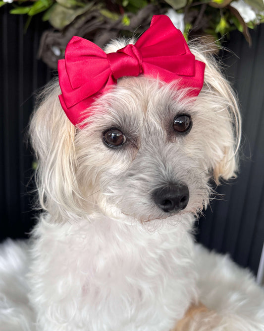 Scarlet Charm Hair Bow