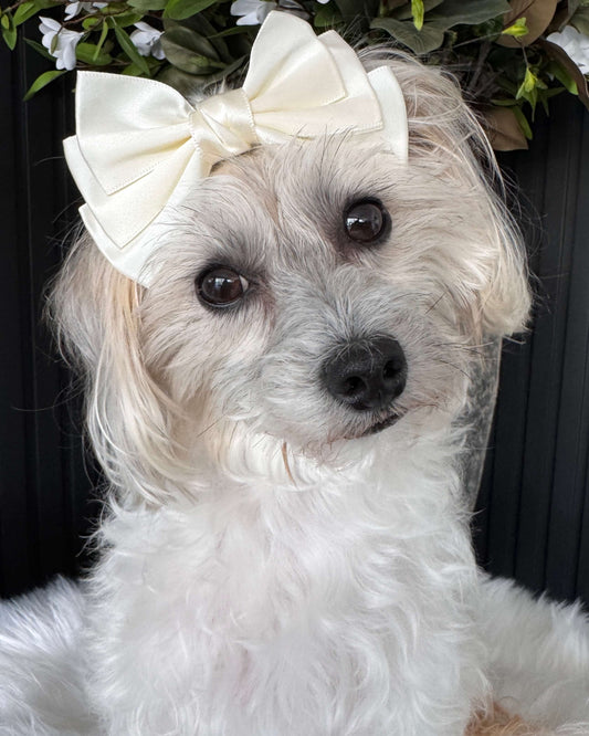 Ivory Grace Hair Bow