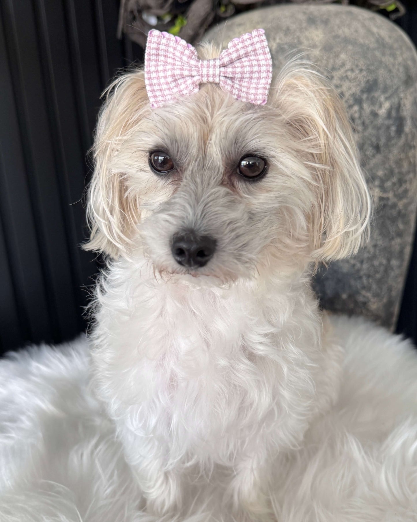 Gingham Charm Mini Bow Set Pink & Purple