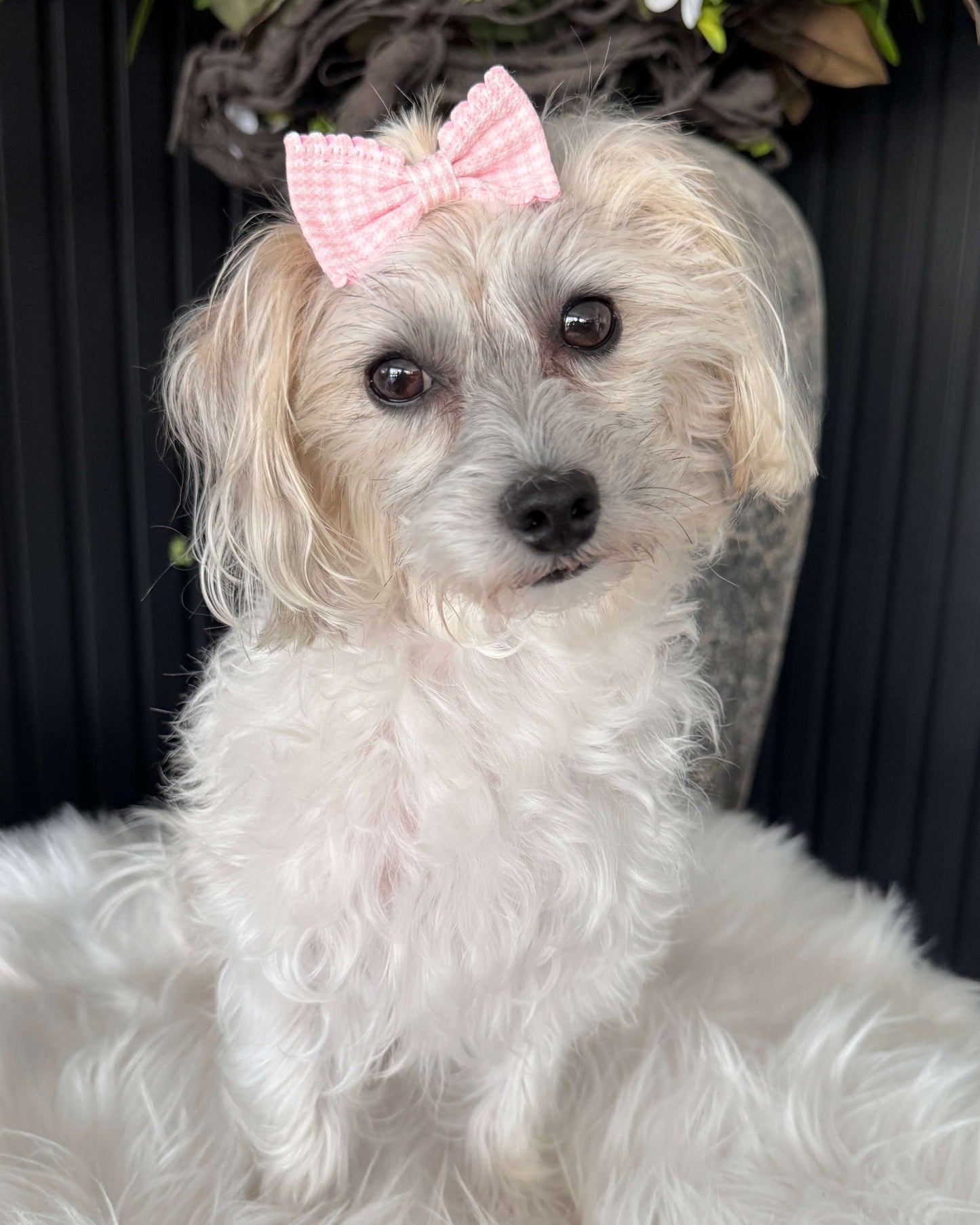 Gingham Charm Mini Bow Set Pink & Purple
