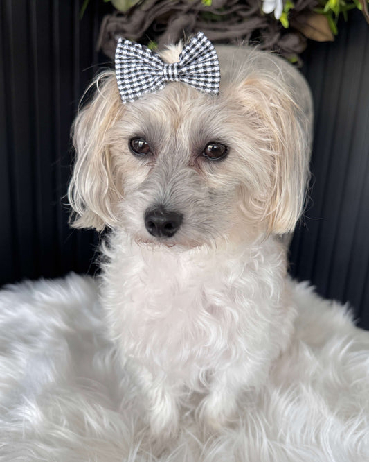 Gingham Charm Mini Bow Set Black & Grey