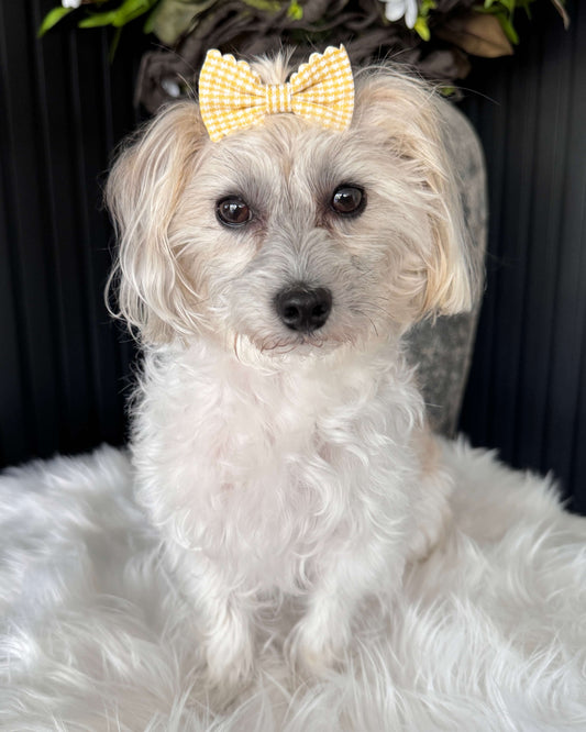 Gingham Charm Mini Bow Set Yellow & Red