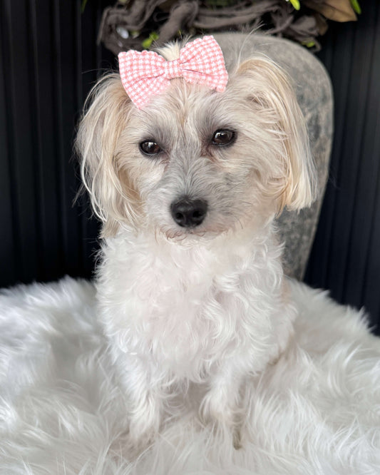 Gingham Charm Mini Bow Set Salmon & Beige