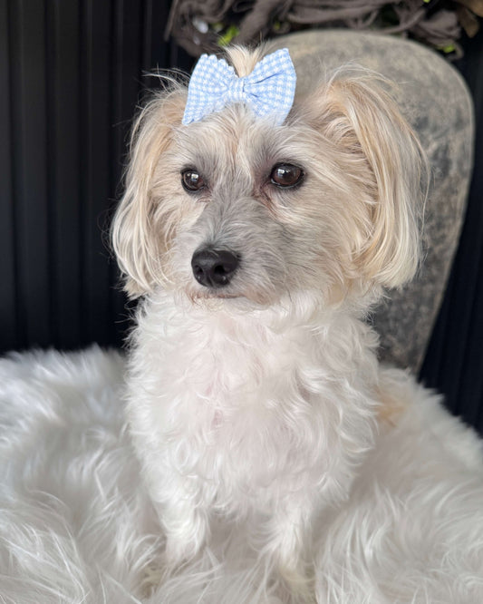 Gingham Charm Mini Bow Set Green & Blue