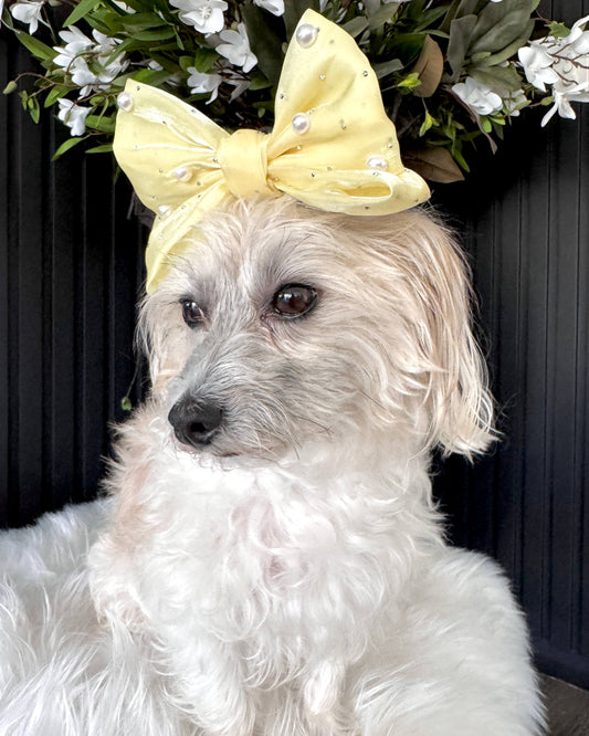 Sunshine Pearl Hair Bow