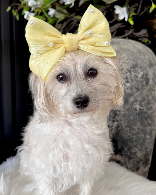 Sunshine Pearl Hair Bow