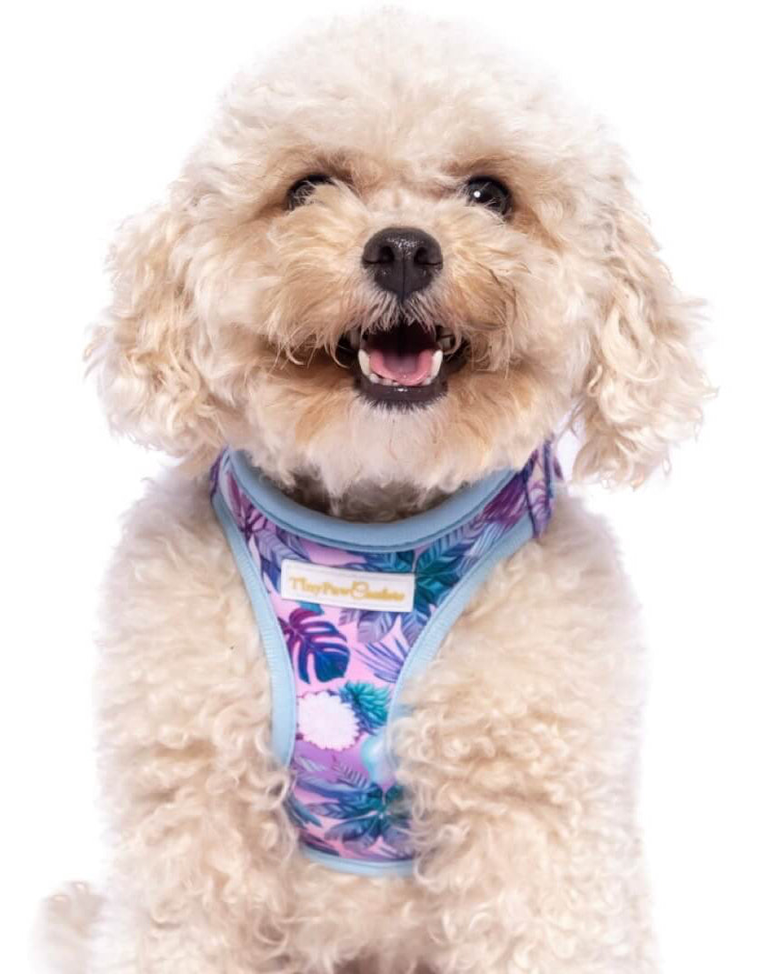 Wet'n'Wild Tropical Step In Vest Harness