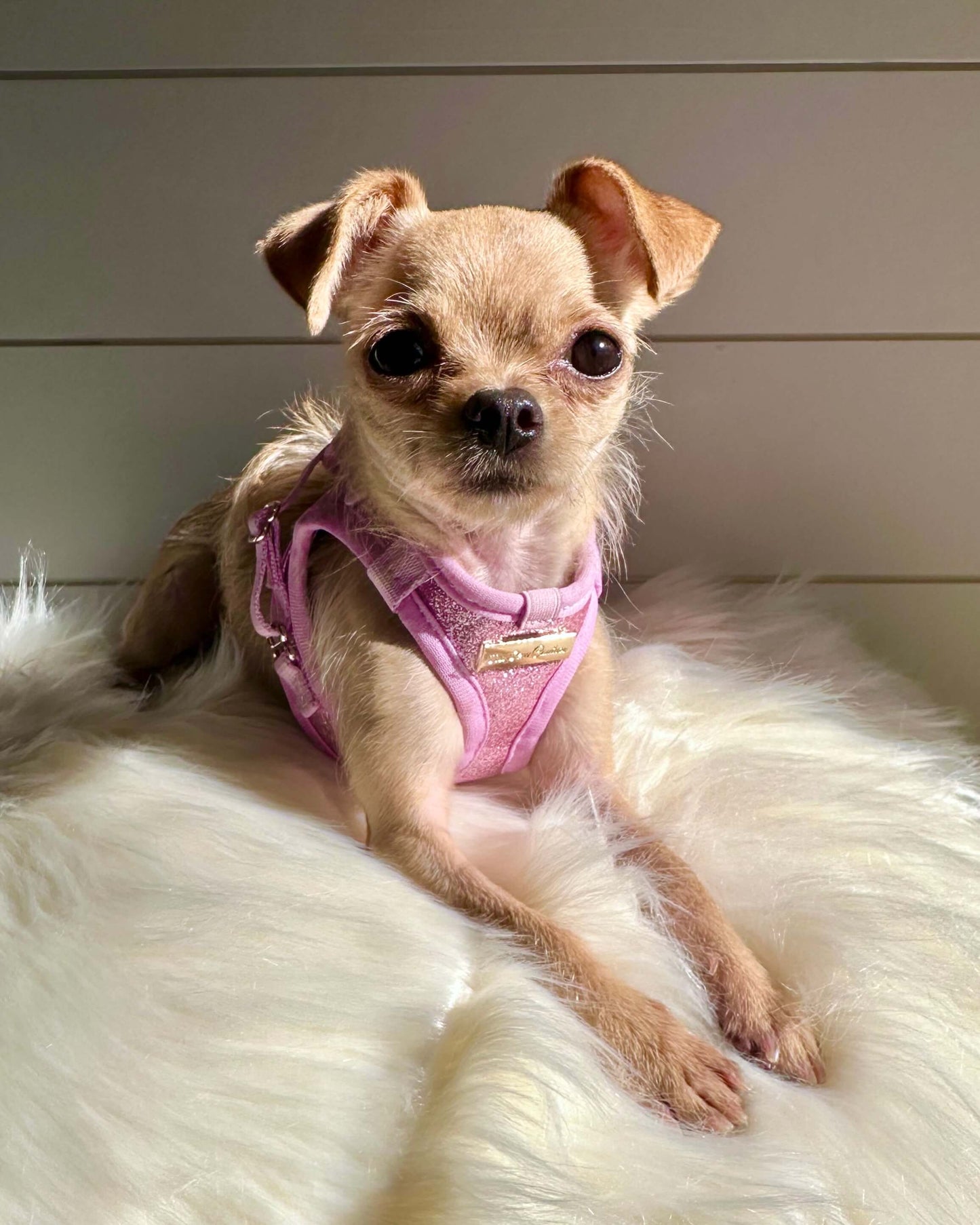 Little Luxe Glitz & Glam Pink Harness