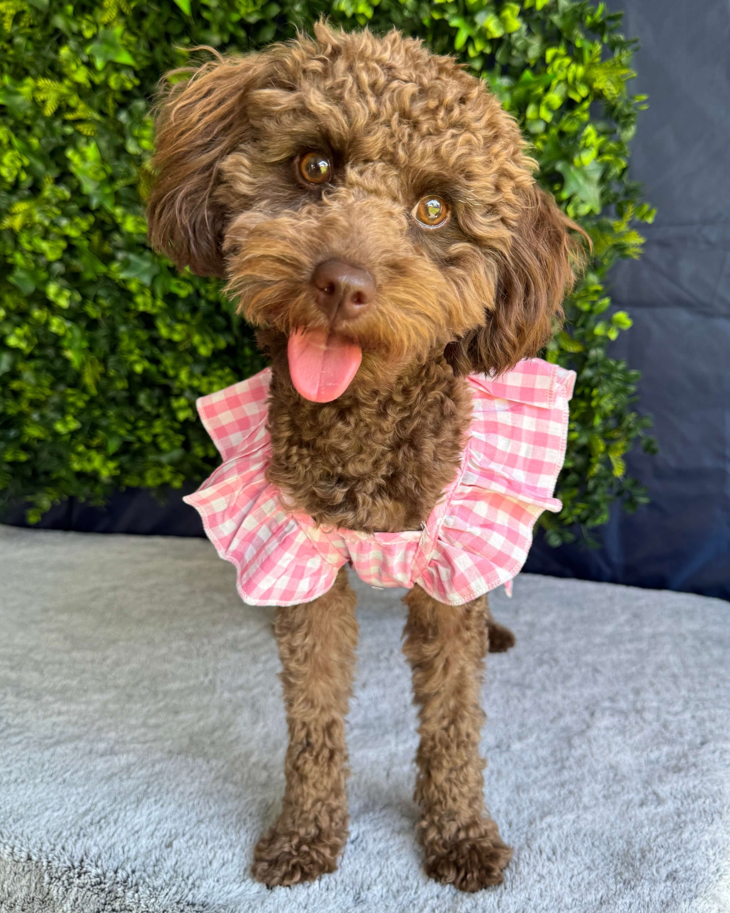 Bethany Pink Gingham Dress