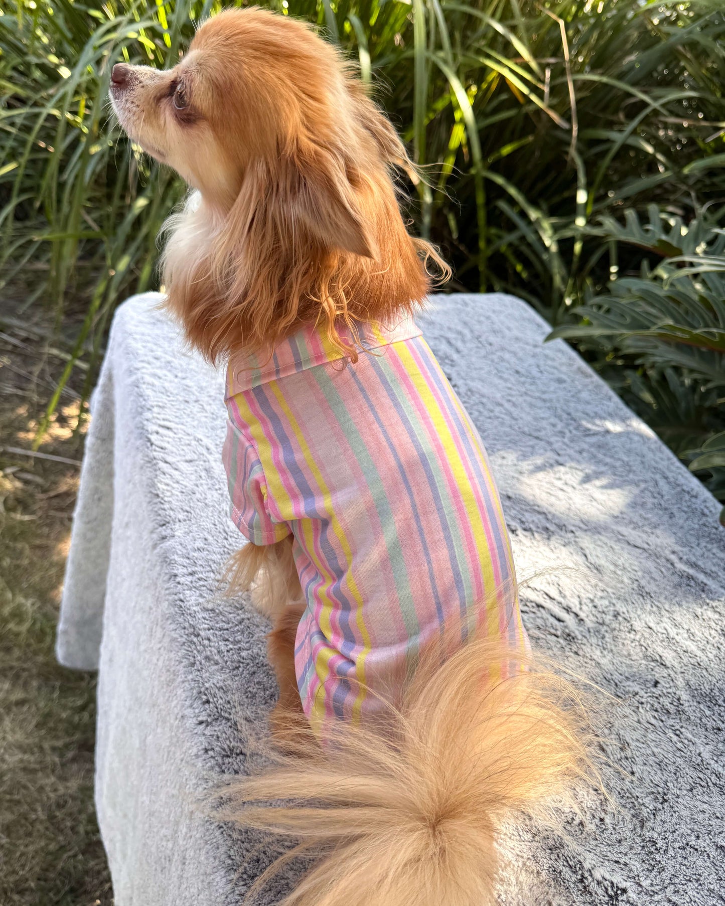 Pastel Riviera Shirt