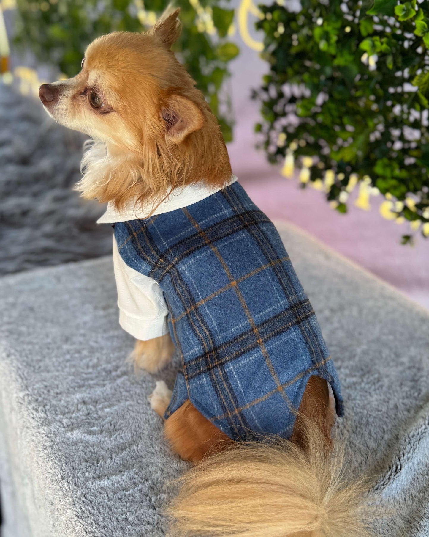 Hudson Heritage Jacket