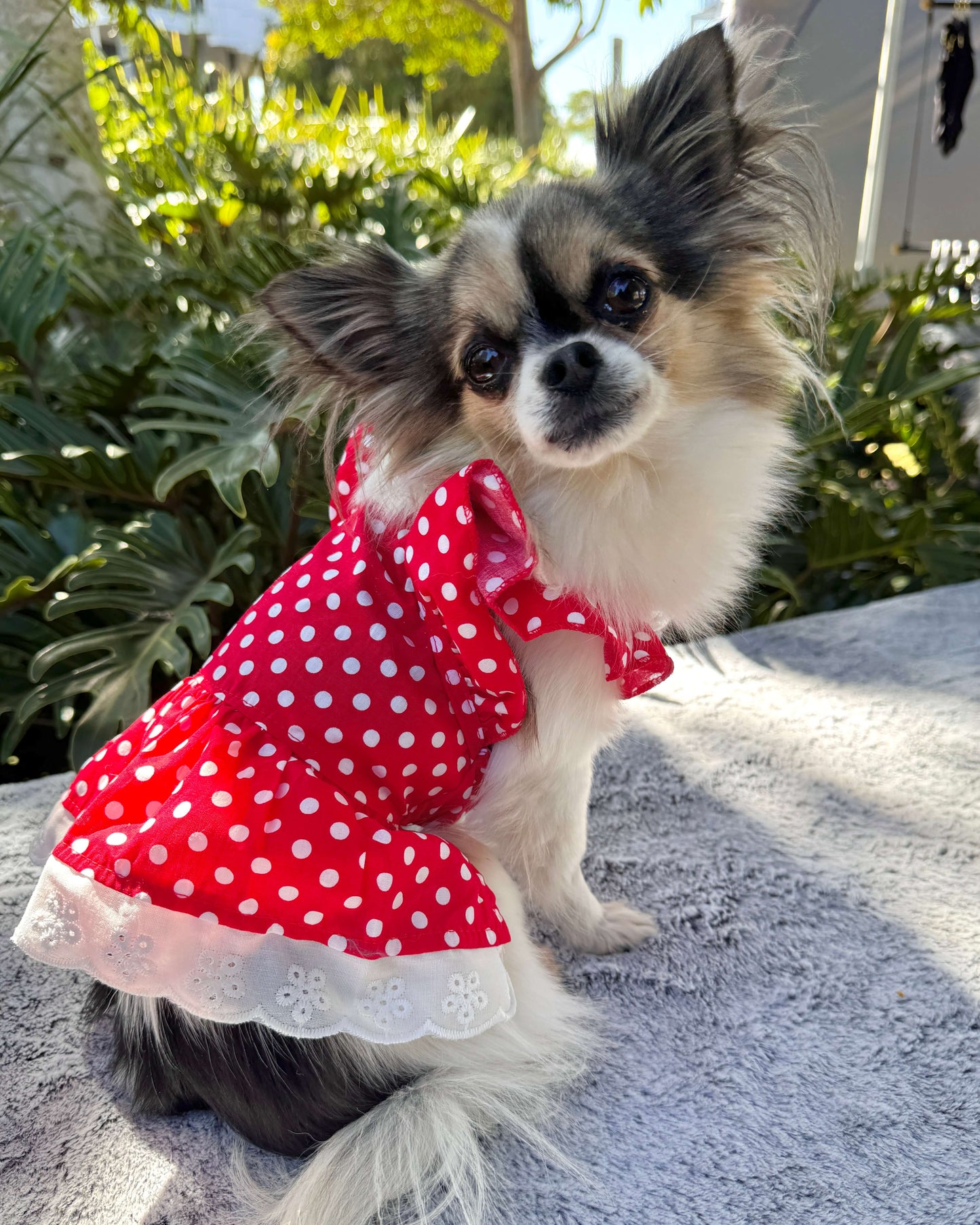 Bethany Red Polka Dot