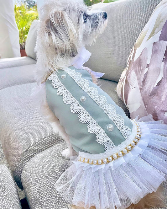 Sophia Luxe Dress Green