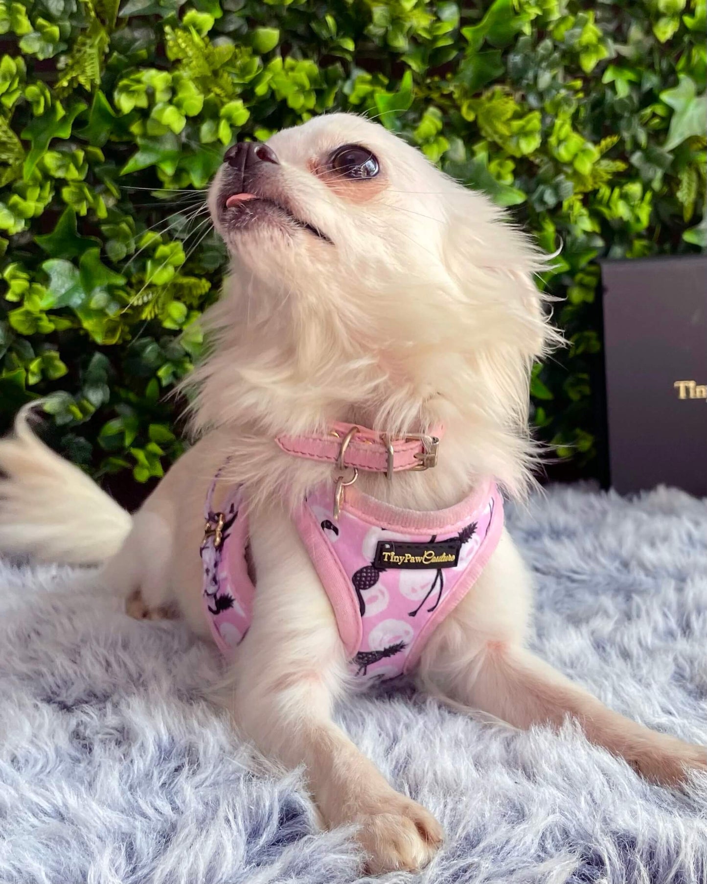 Little Luxe Flamingos Step In Vest Harness