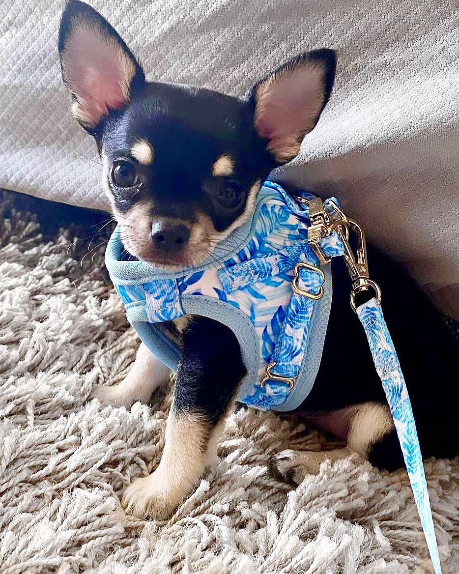 Little Luxe Blue Leaf Step In Vest Harness