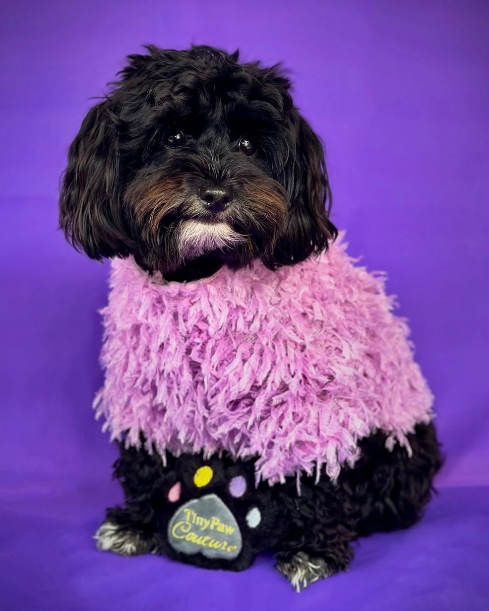 Quinn Feathered Top Purple