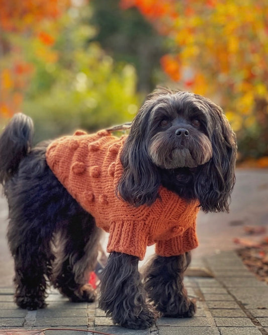Pom Pom Knit Terracotta