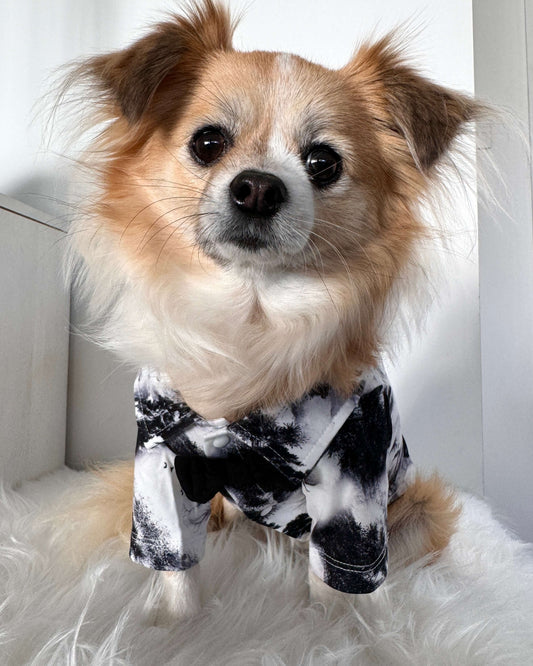 Augustine Button Up Shirt