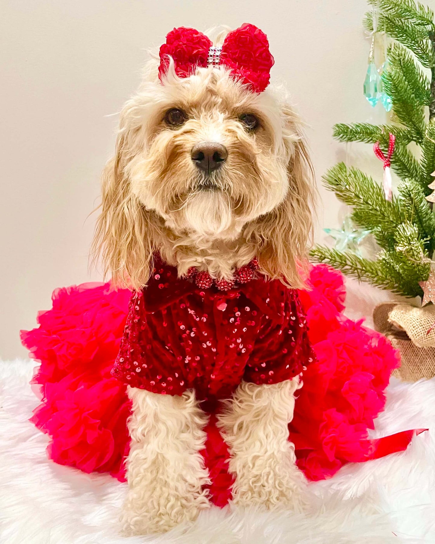 Red Velvet Sequin Shirt