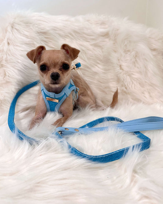 Little Luxe Glitz & Glam Blue Lead