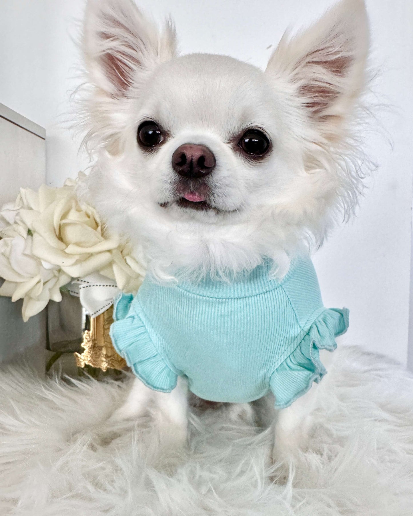Arabella Frilly Sleeve Top Tiffany Blue