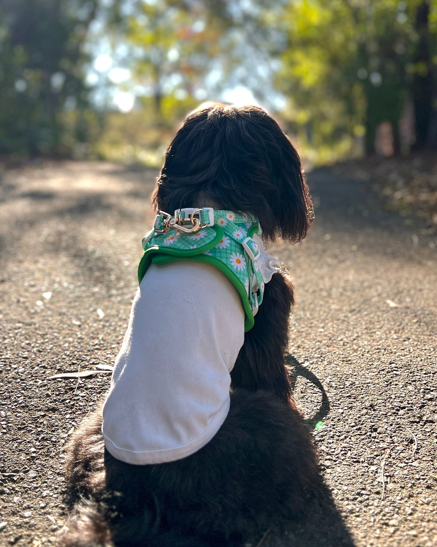 Wet'n'Wild Daisy Step In Vest Harness