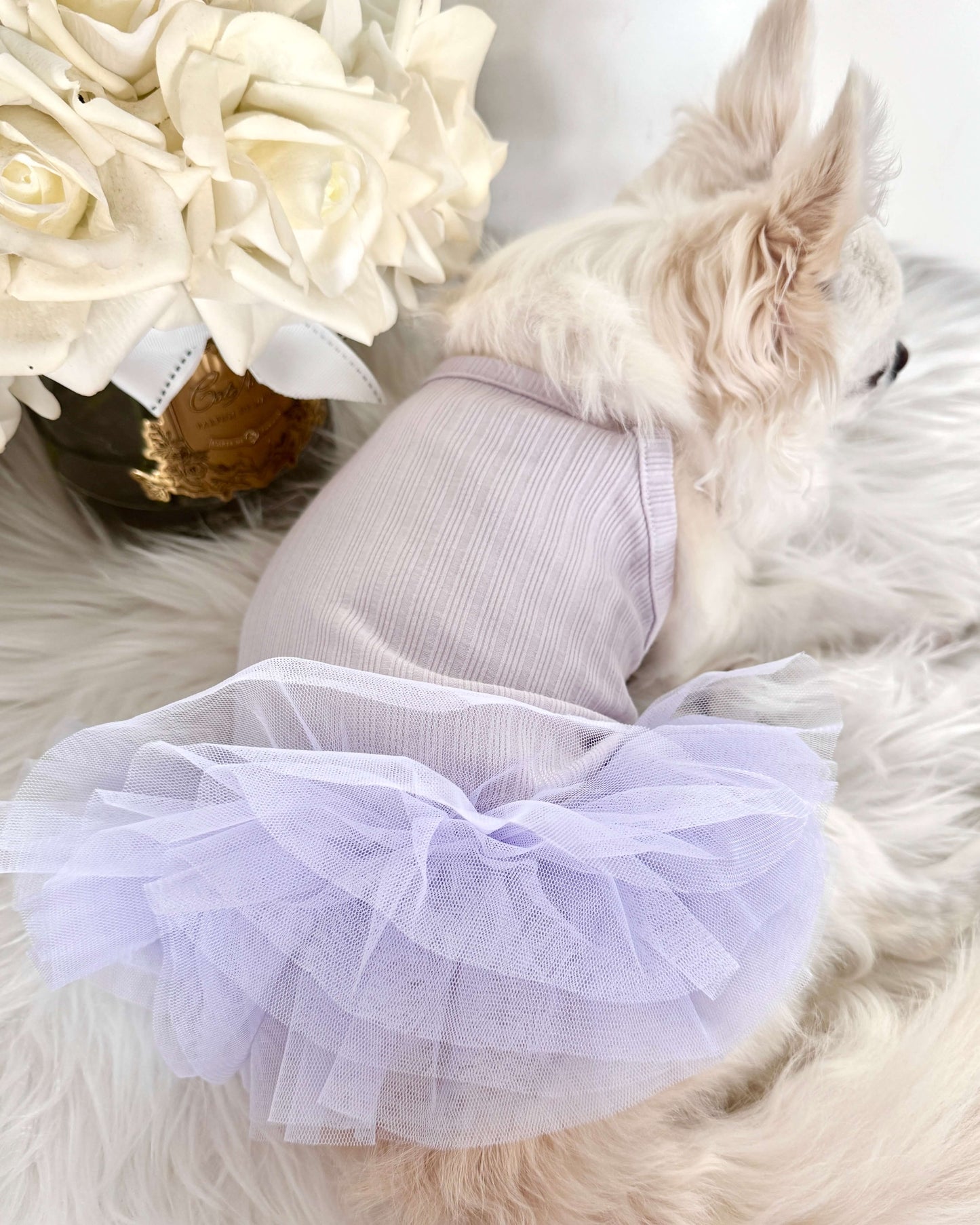 Maya Tutu Dress Lilac