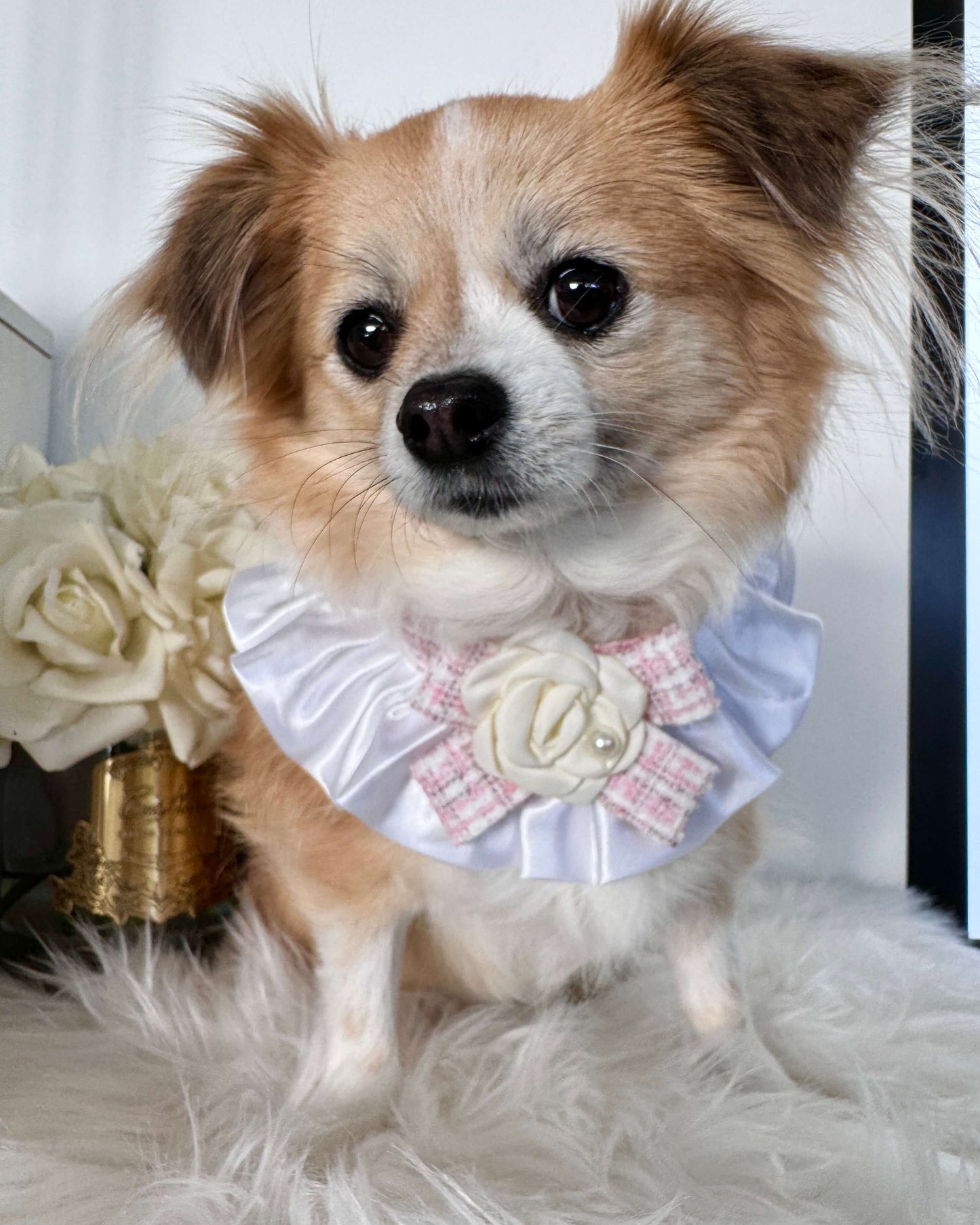 Lucia Pink Necktie
