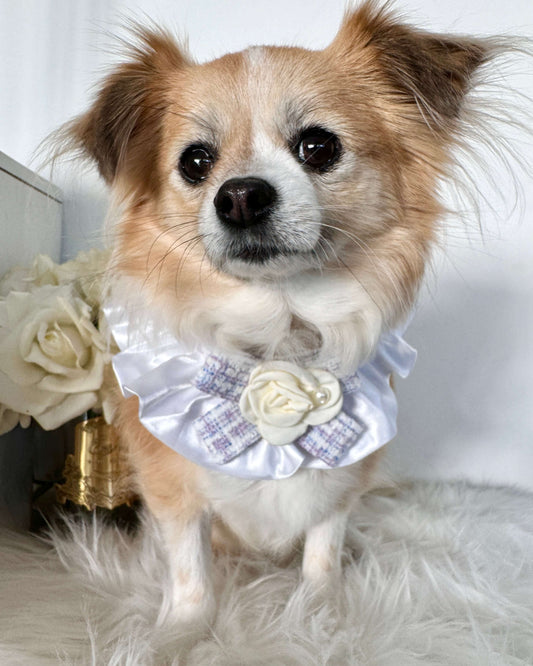 Lucia Purple Necktie