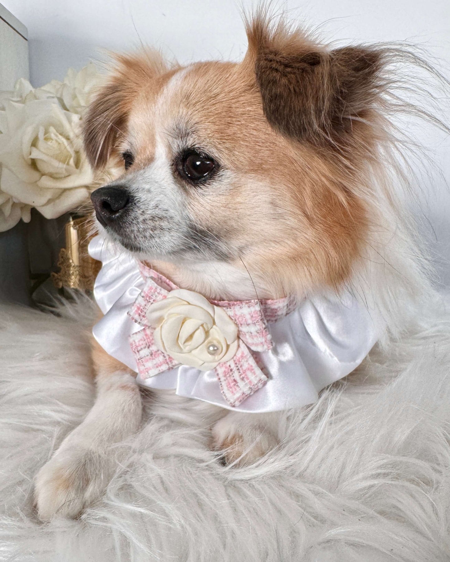 Lucia Pink Necktie