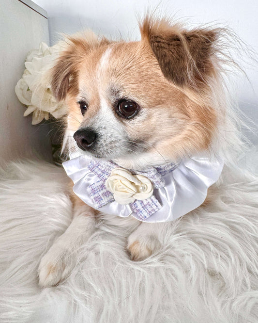 Lucia Purple Necktie